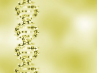 A szalmonellabaktérium két fontos DNS-szakaszát azonosították