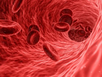 Április 17 – a hemofília világnapja 