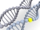 Az első génterápiás termékével debütál a CRISPR