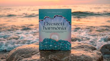Az Elveszett harmónia című könyv borítója