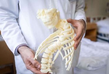 3D gerincmodell