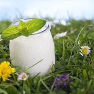 Egy pohár natúr joghurt levél díszítéssel, virágok között, kék éggel és felhőkkel a háttérben
