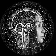 Összefüggés a vírusok, az Alzheimer-kór és a Parkinson-kór között